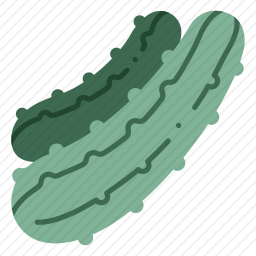 <em>黄瓜</em>