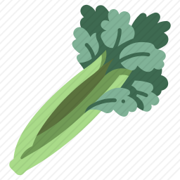 芹菜