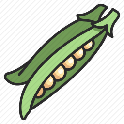 豆