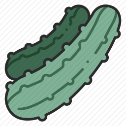 <em>黄瓜</em>
