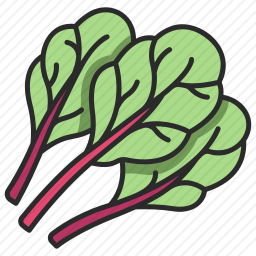 <em>甜菜</em>