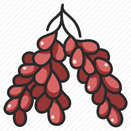 枣