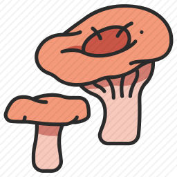 蘑菇