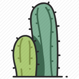 仙人掌