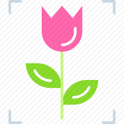 摄影