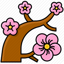 樱花