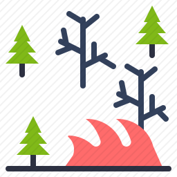 野火