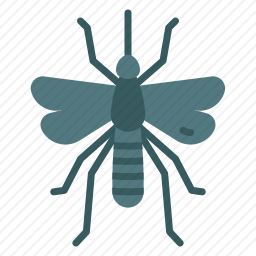 <em>蚊子</em>