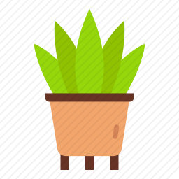 盆栽植物
