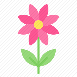 <em>花</em>