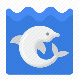 海豚
