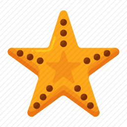 海星