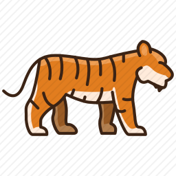 <em>老虎</em>