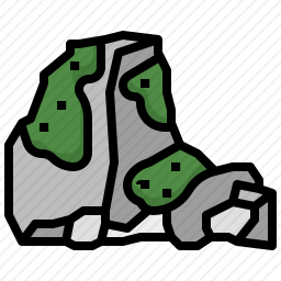 苔藓