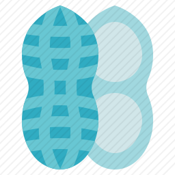 <em>花生</em>