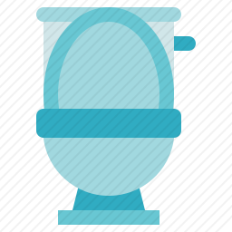 <em>马桶</em>