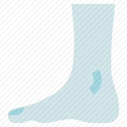 <em>脚</em>