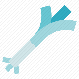 <em>葱</em>