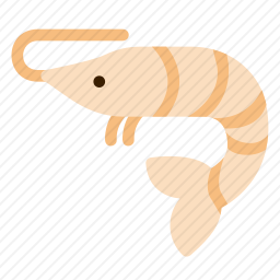 虾