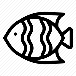 金鱼