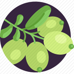 橄榄