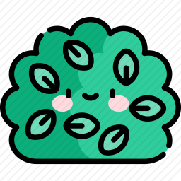 灌木