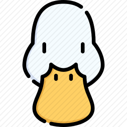 鸭子