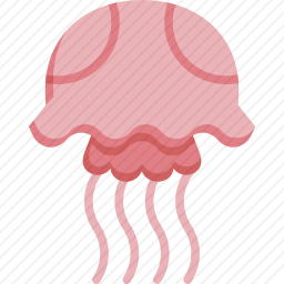 水母