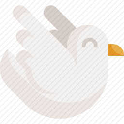 鸽子