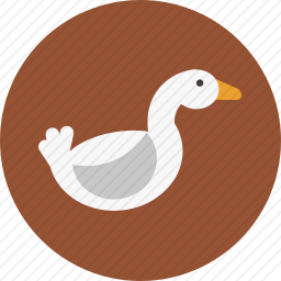 鸭子