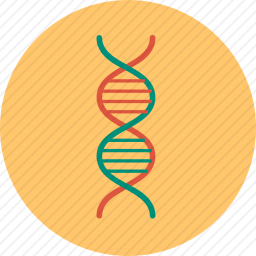 DNA