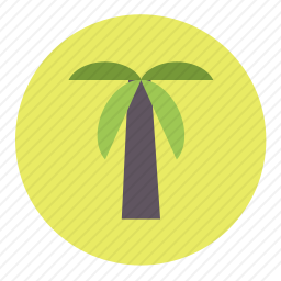 <em>棕榈树</em>