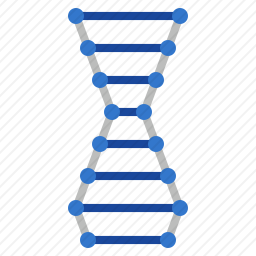 <em>DNA</em><em>链</em>