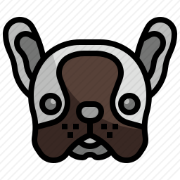 <em>法国</em><em>斗牛犬</em>