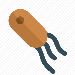 微生物