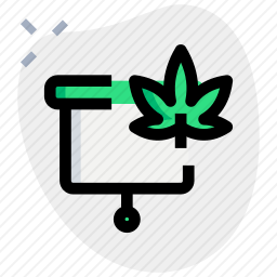 大麻演示