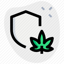 医疗大麻
