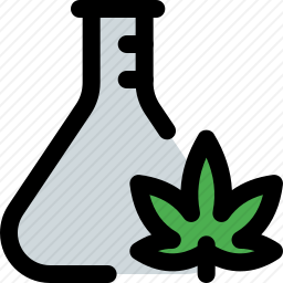 大麻实验