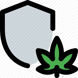 医疗大麻