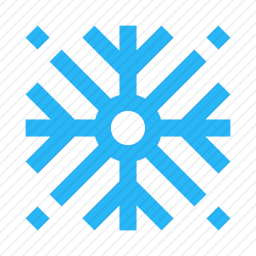 <em>雪花</em>