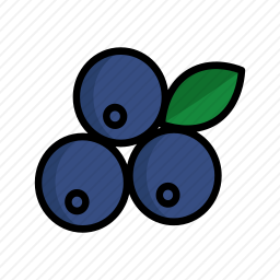 <em>蓝莓</em>