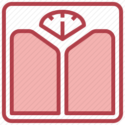 <em>体重秤</em>