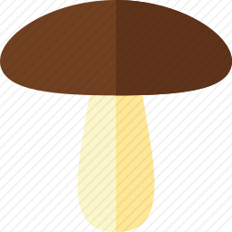 <em>蘑菇</em>