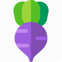 <em>甜菜</em>
