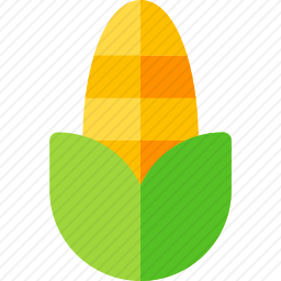 <em>玉米</em>