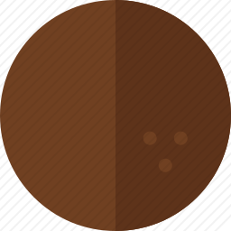 <em>椰子</em>