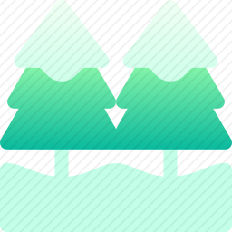 松树