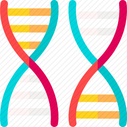 DNA