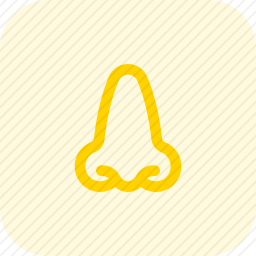 鼻子