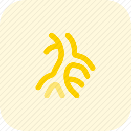 静脉